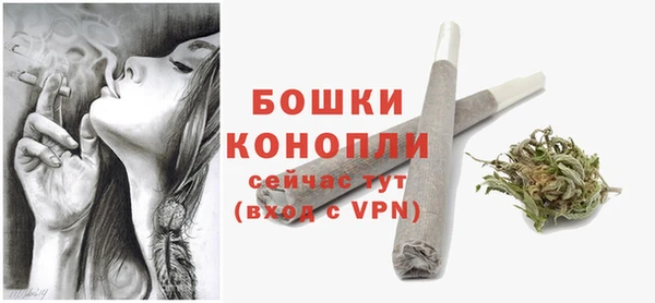 соль ск Гусь-Хрустальный