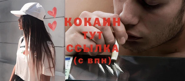соль ск Гусь-Хрустальный