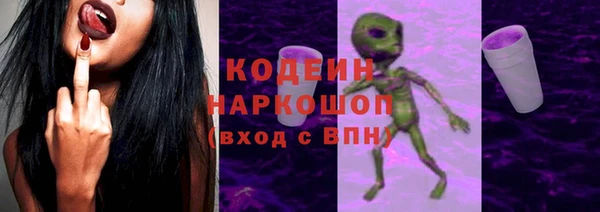 амф Гусиноозёрск