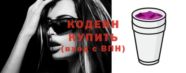 амф Гусиноозёрск