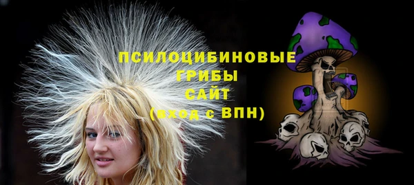 амф Гусиноозёрск