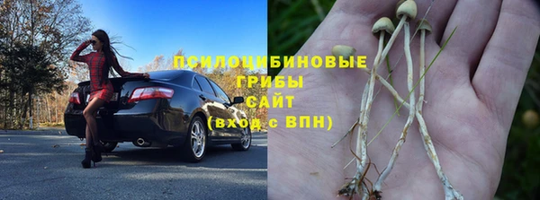 соль ск Гусь-Хрустальный
