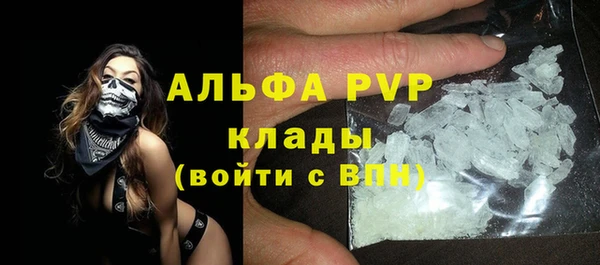 амф Гусиноозёрск
