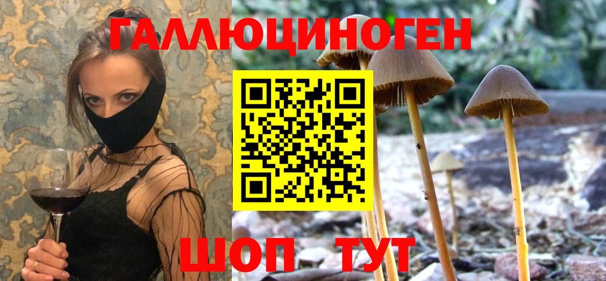 Галлюциногенные грибы Cubensis  что такое   Зеленогорск  Вход с VPN 