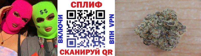 Бошки марихуана Amnesia  где купить наркотик  Зеленогорск 